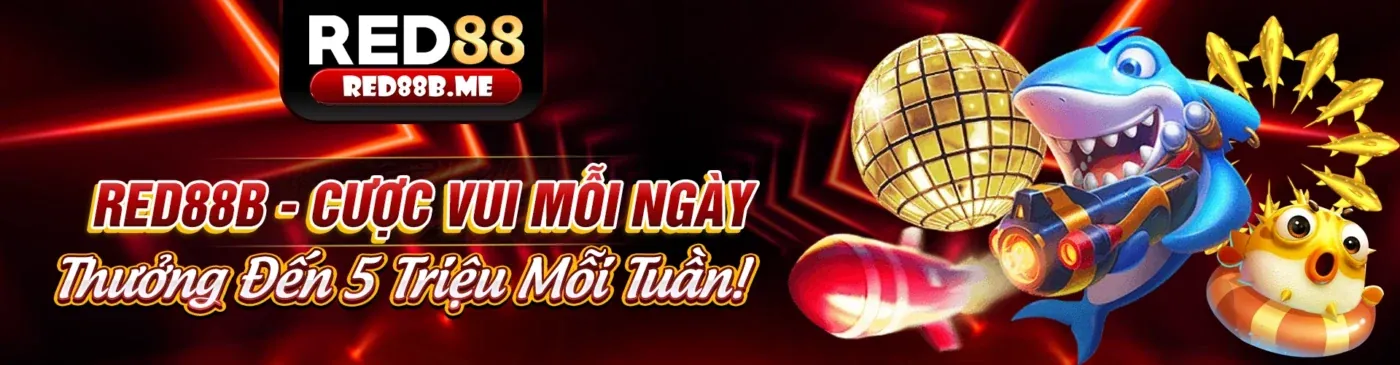Blog ae555 với tin tức và hướng dẫn cá cược mới nhất