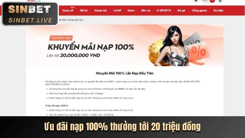 Cập nhật thông tin ngân hàng ae555